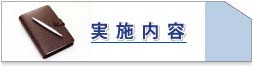 実施内容