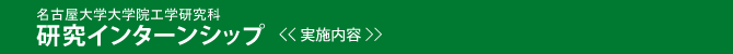 実施内容